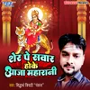 About Sher Pe Sawar Hoke Aaja Maharani Song